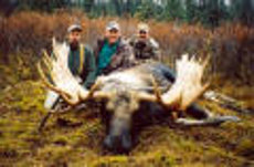 Alaska-100-Moose-Pic1 