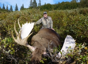 Alaska-100-Tims-2013-moose-300x218 