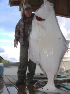 Alaska-17-Butchs-halibut-225x300 