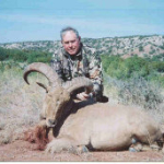 Texas-84-Butch-sheep-pix-2-150x150 