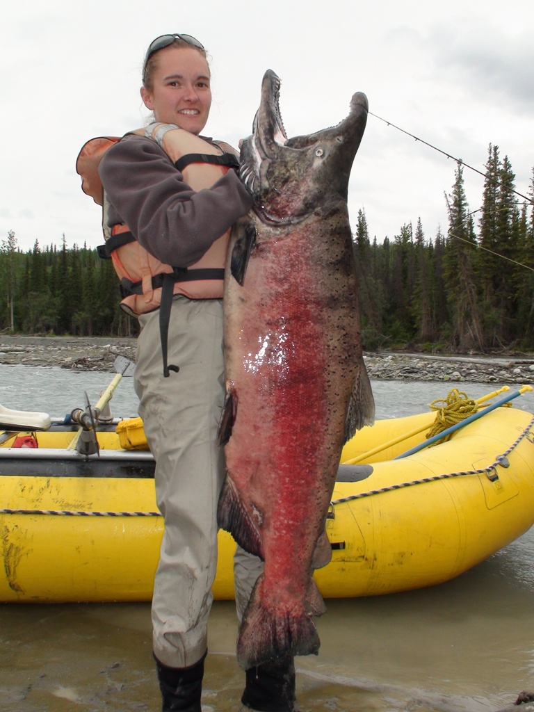 ALASKA SALMON FISHING – FS #211 - Hunt Nation
