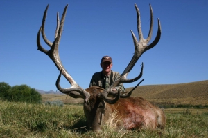Argentina-37-Patagonia-stag-pic-Bogarty-300x200  