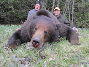 Alaska-156-Bear-2-300x225  