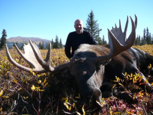 BC-151-Moose-2012-pic-300x225  