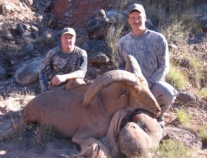 Texas-84-2009-giant-ibex-35-inches-300x229 