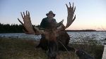 Copy-of-NEWFOUNDLAND-63-trophy-moose-pic  
