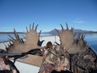 moose-hunting-2012-11 