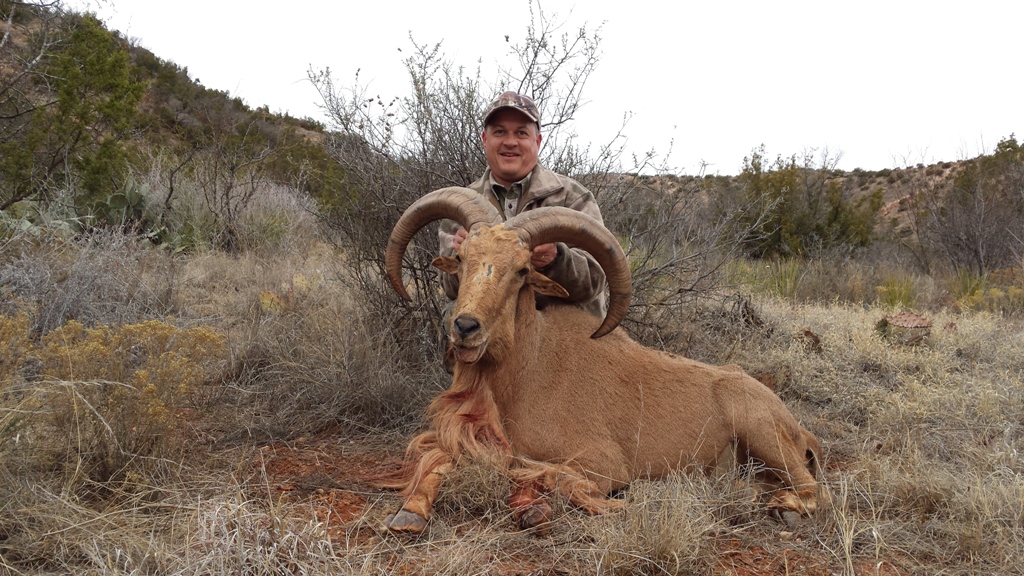 Read more about the article New Mexico #84- G. Peterson scores on Aoudad