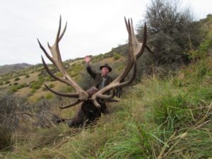 New-Zealand-248-big-elk-pic-300x225 