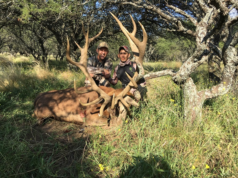 Read more about the article Paul H. Red Stag – Argentina #39