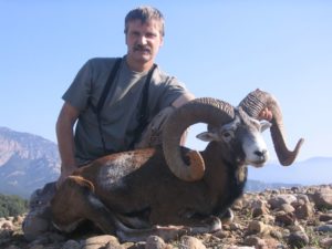 Mouflon-Sheep-12-300x225 