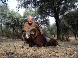 Spain-271-Mouflon-2-300x225  
