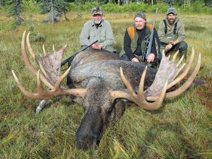 Alaska #233 Moose Pic
