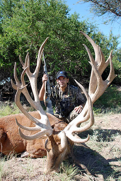Argentina #37 record stag-2