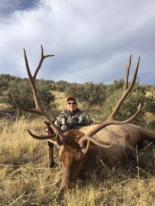 Joan-2017-bull-elk-225x300 