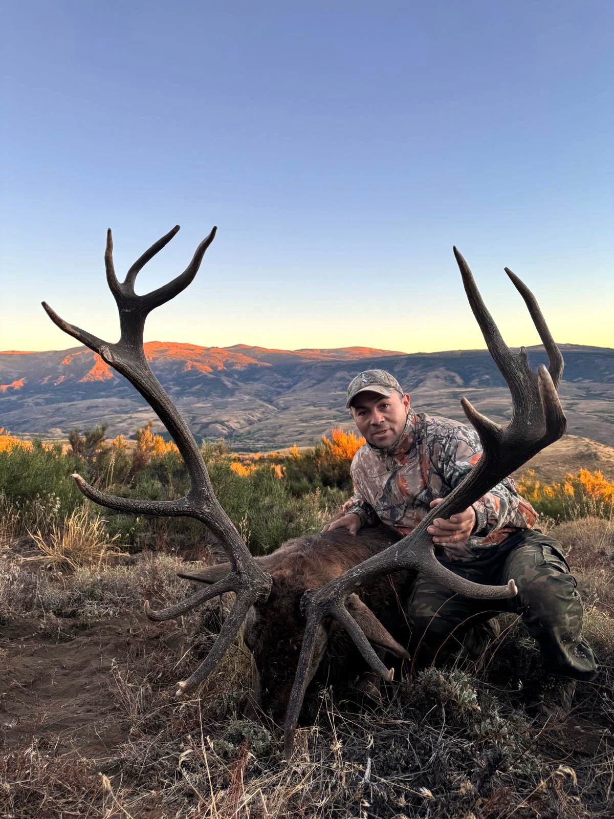 37.Red stag Patagonia 2