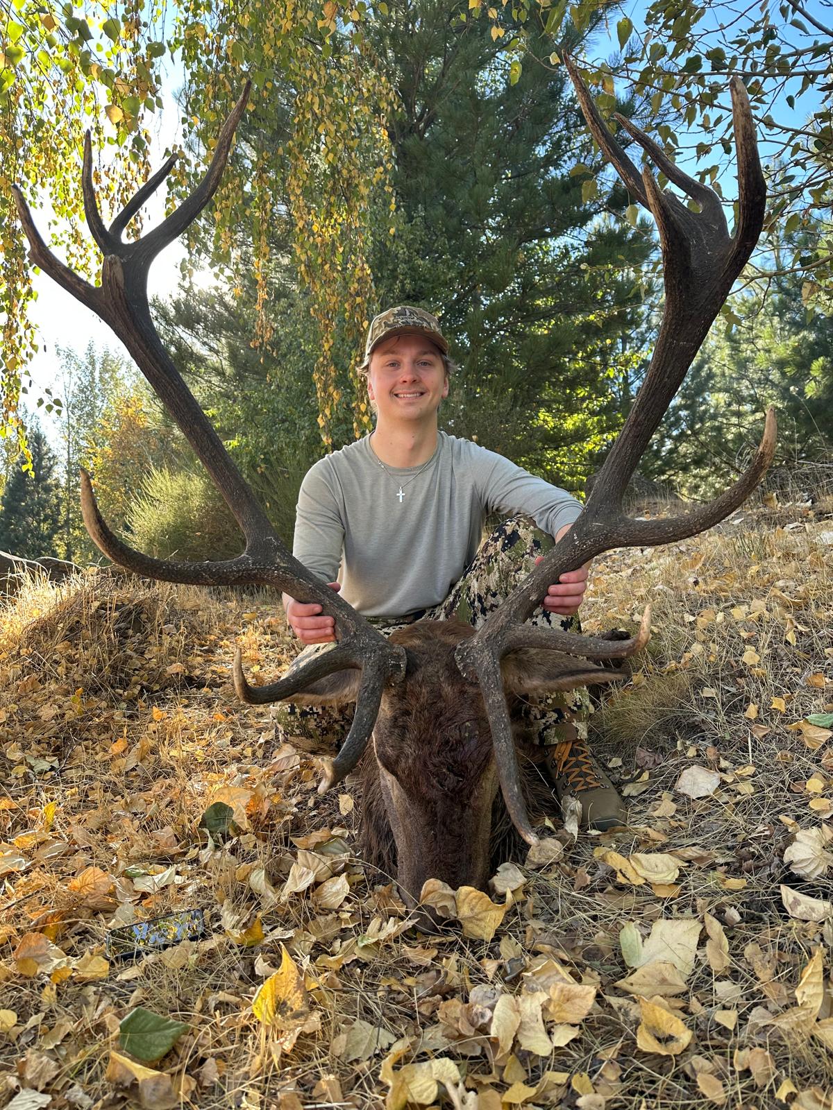 37.Red stag Patagonia 3