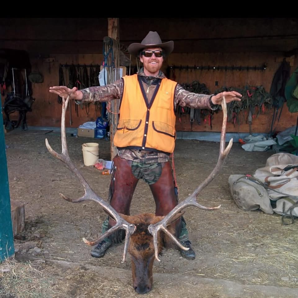 CO #75 - another nice Colorado bull
