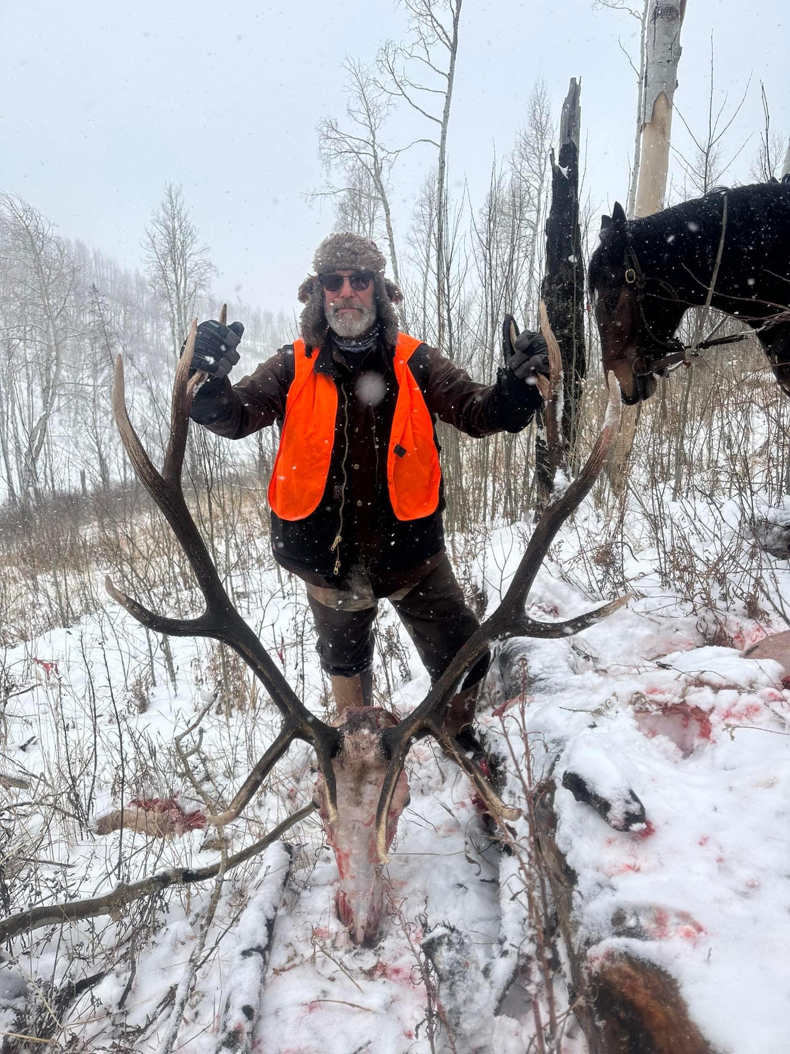 CO #75 - great Colorado bull 2024