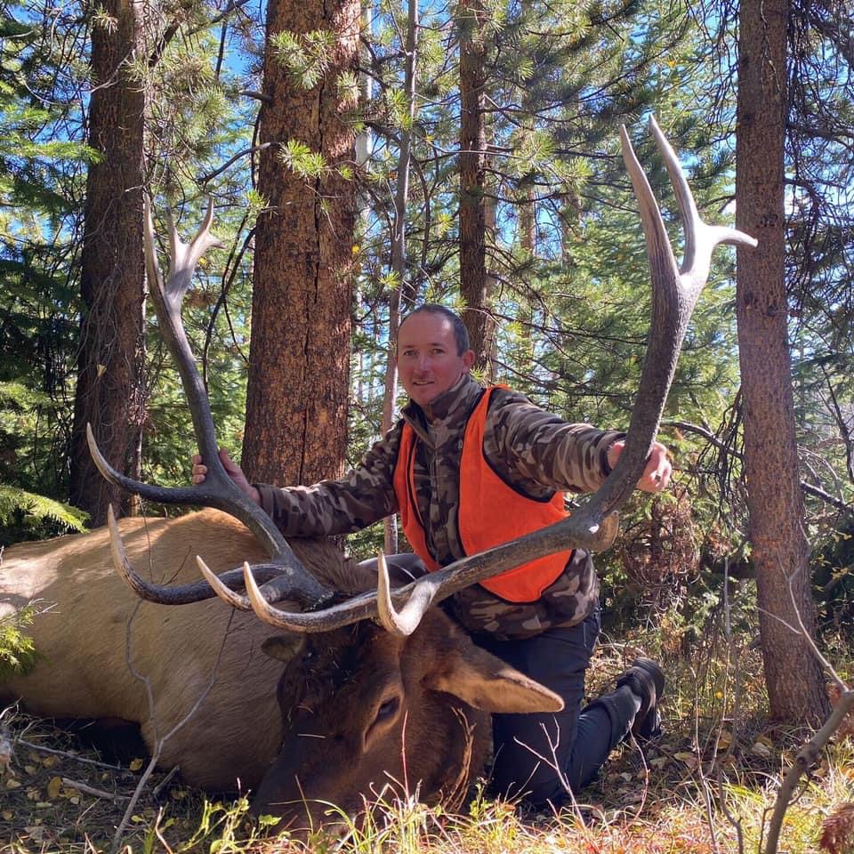 CO #75 - terrific Colorado bull 2023