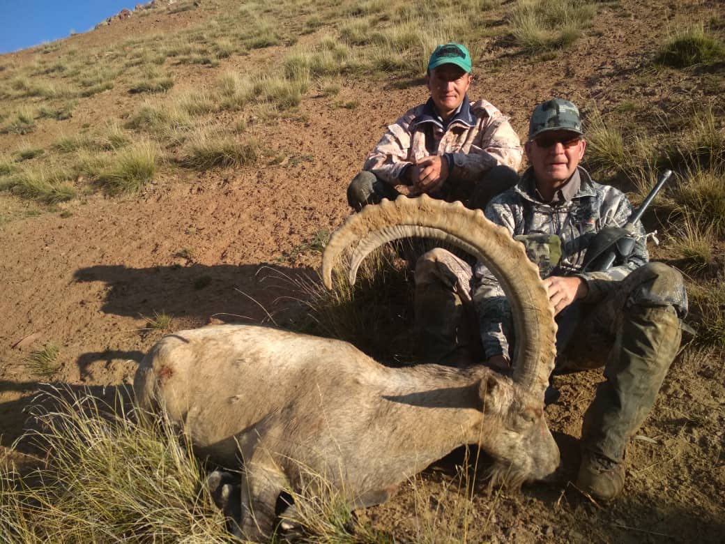 Kyrg#80Dave, WY Mid-Asian Ibex - Kyrgyzstan