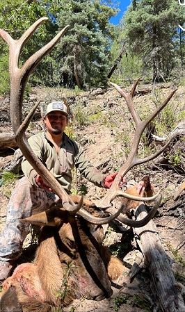 NM #342 6x6