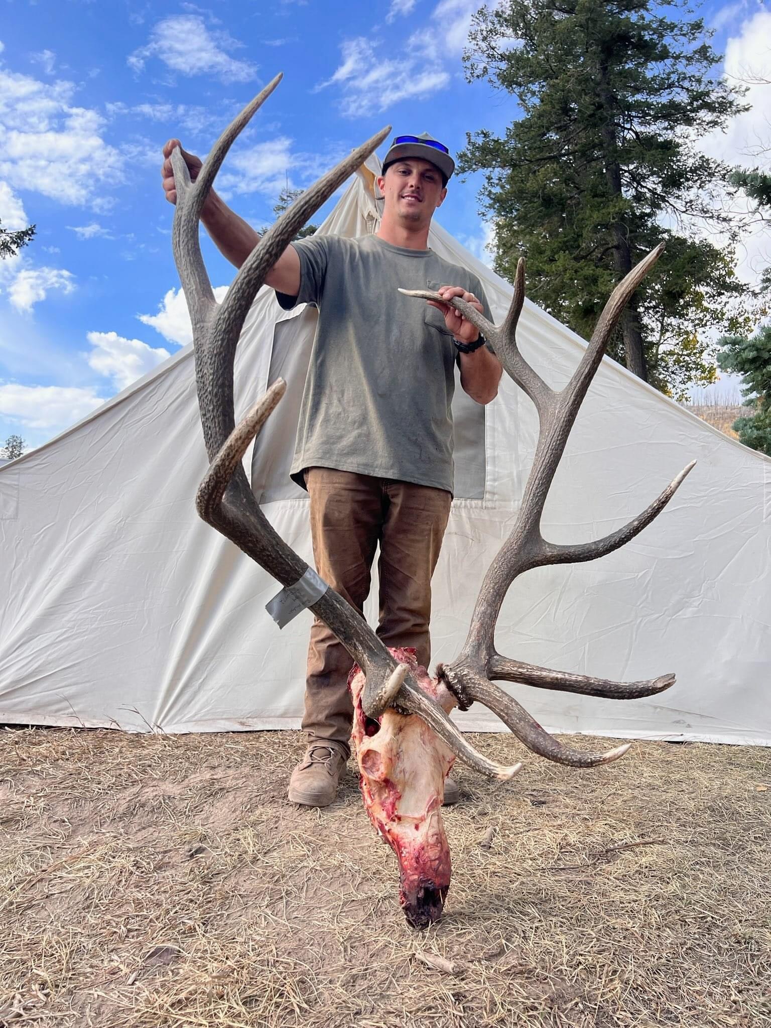 NM #342 - great New Mexico elk October 2024