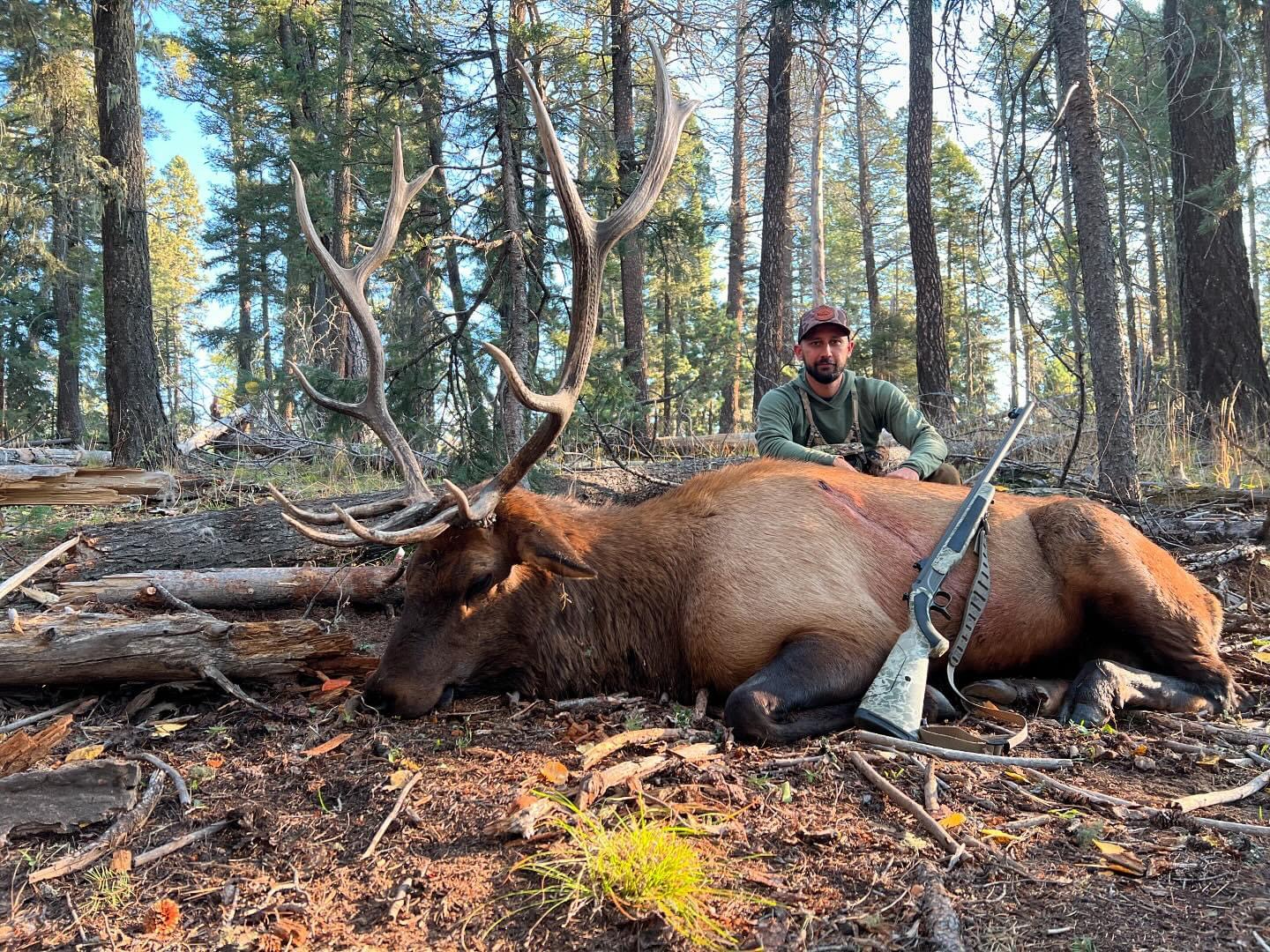 NM #342 - great muzzleloader bull - October 2024