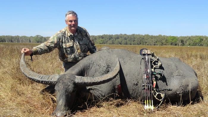 Cost of Australian Buffalo Hunts - Hunt Nation Cost of Australian Buffalo Hunts - Hunt Nation