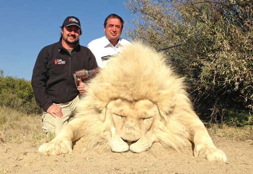 hunting a lion in Africa - Hunt nation