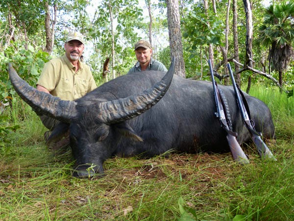 Australian Buffalo Hunting - Hunt Nation Australian Buffalo Hunting - Hunt Nation