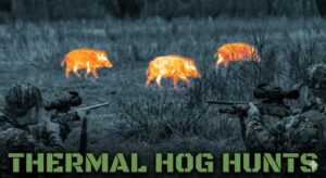 Thermal Hog Hunts - Hunt Nation
