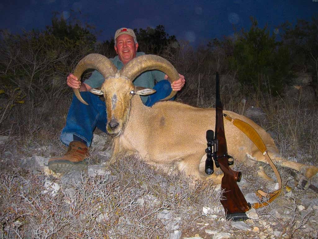Why Aoudad Are So Challenging to Hunt Nation