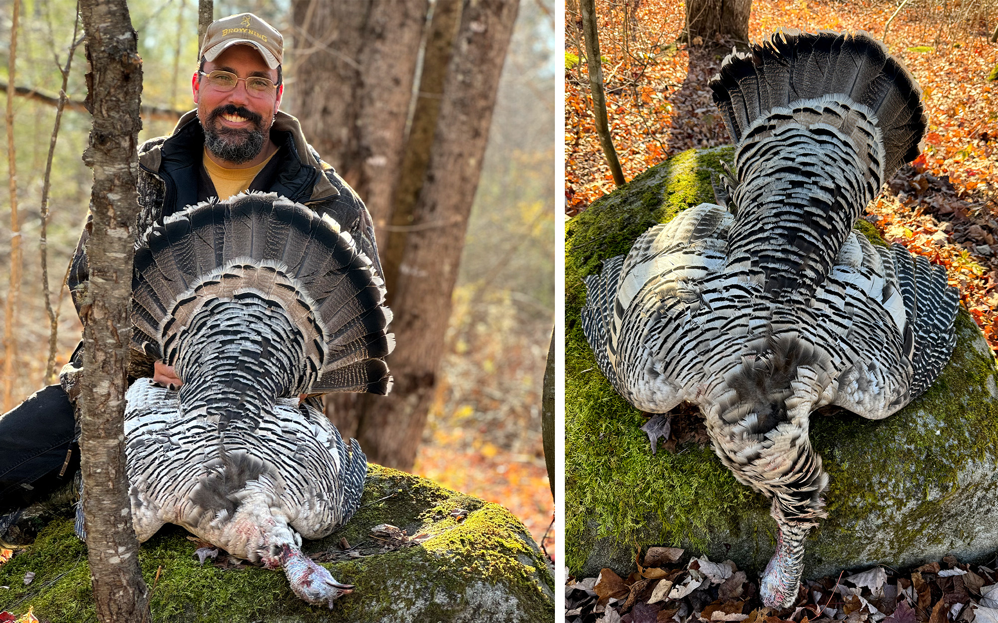 DIY vs Guided Wild Turkey Hunting - Hunt Nation