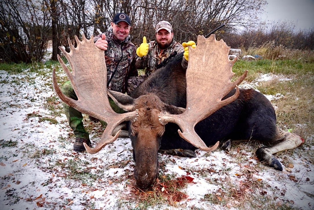 Moose Hunting In Canada - Hunt Nation