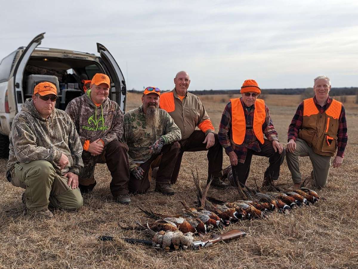 Kansas pheasant and upland bird hunting
