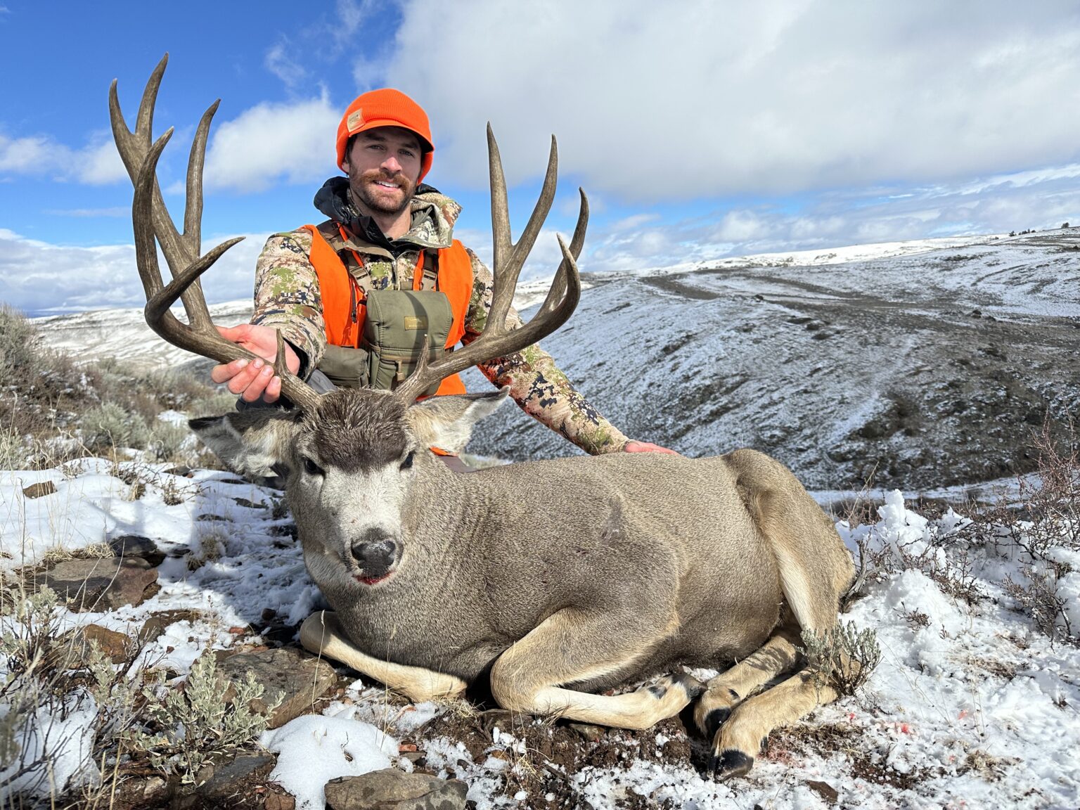 colorado mule deer hunting - Hunt nation colorado mule deer hunting - Hunt nation