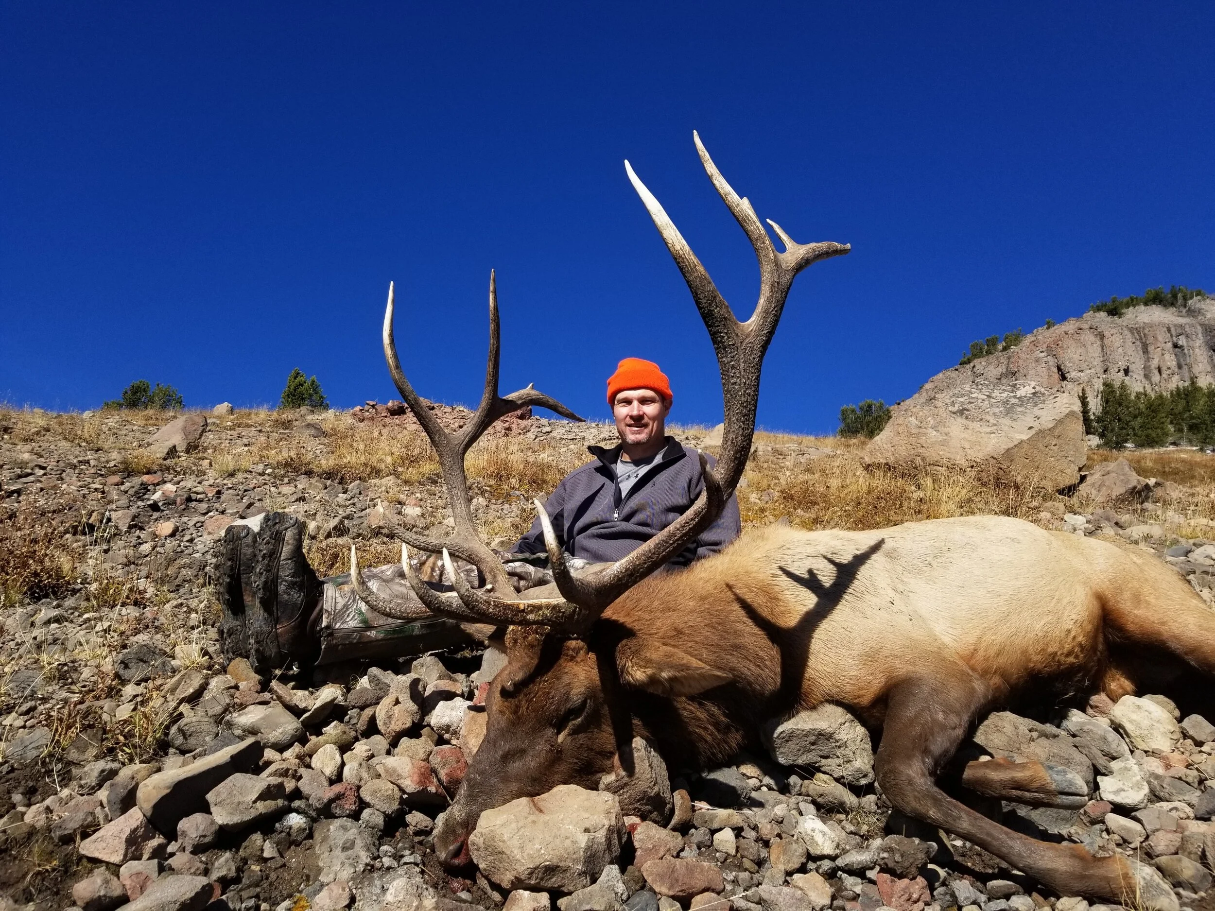 Wyoming wilderness elk hunting. — Graylight outfitters