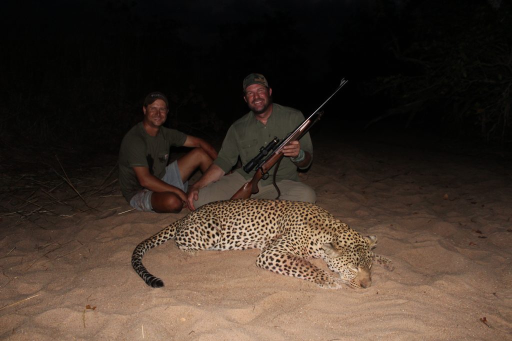 leopard hunting in africa