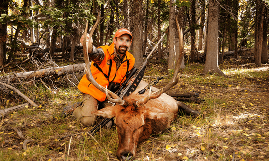 Guided Elk Hunts vs DIY