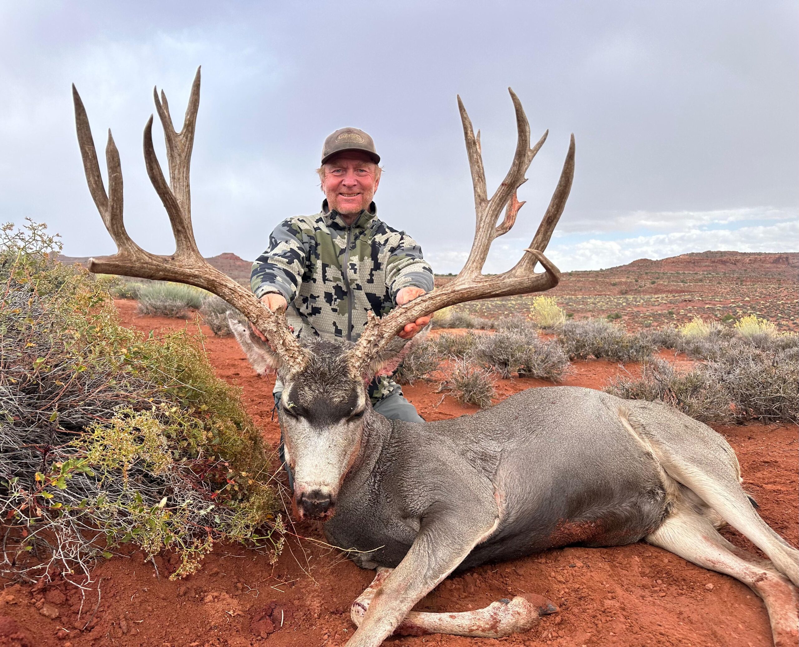 Utah Guided Mule Deer Hunts & Hunting Trips - WLHunting