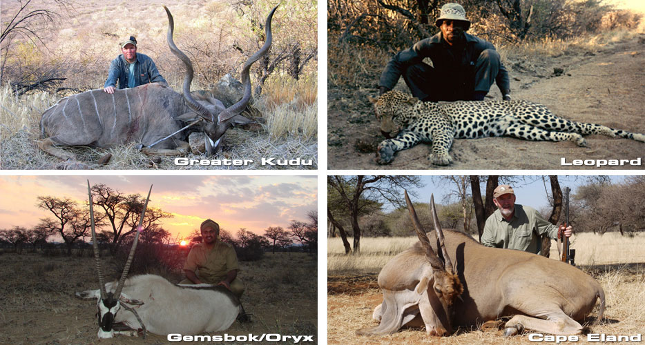 How Much Does Hunting in Africa Cost?