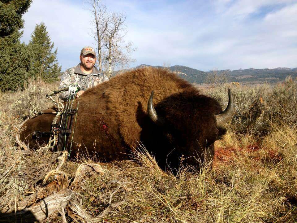 Bison Hunts - Hunt Nation