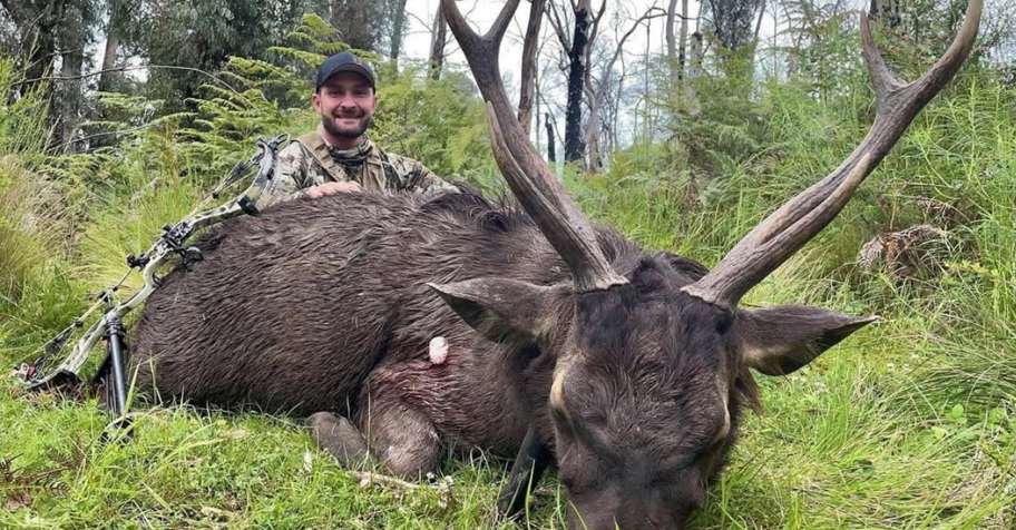 Sambar Deer in Florida - Hunt Nation Sambar Deer in Florida - Hunt Nation