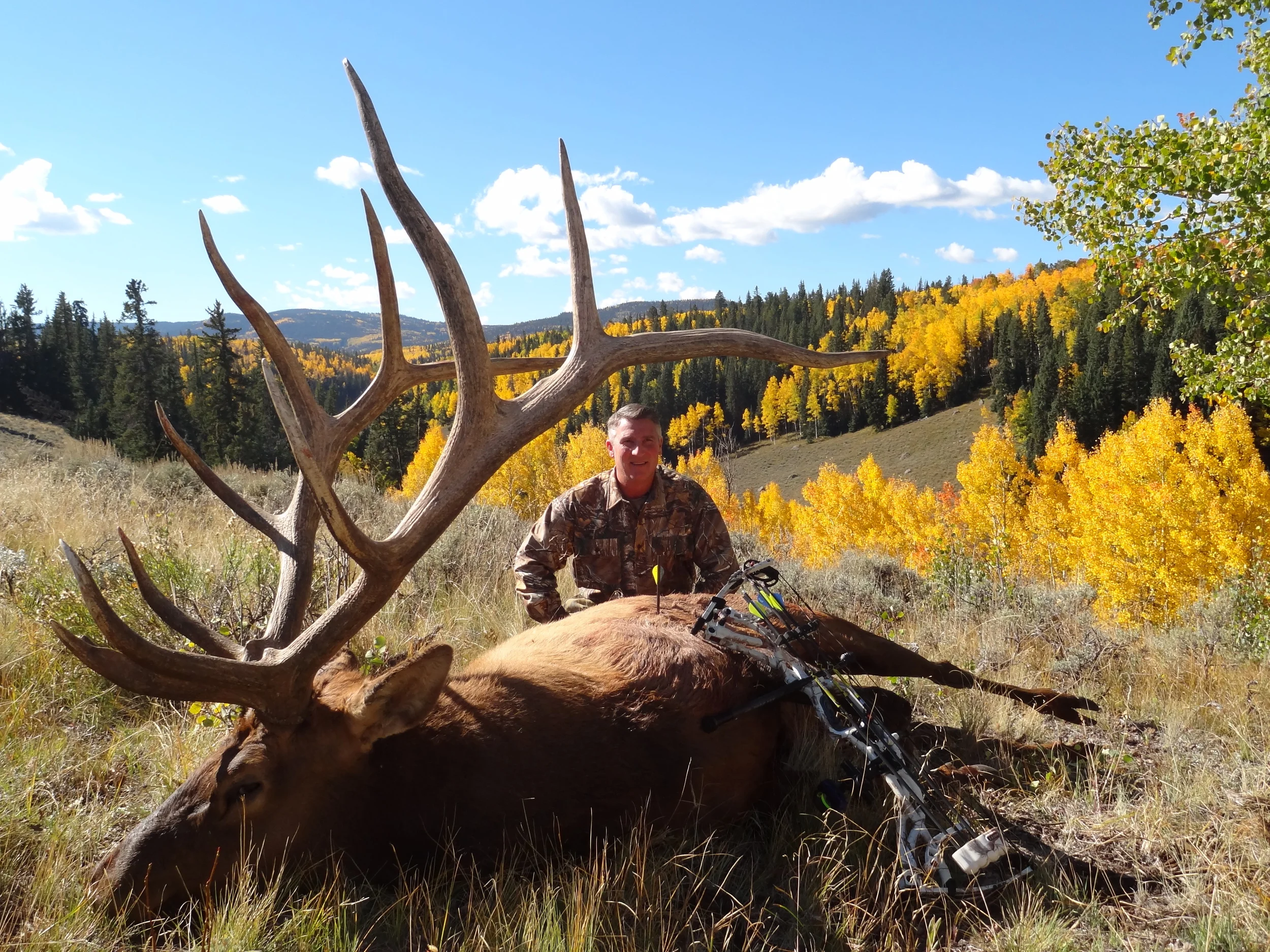 Colorado Elk Hunting - Hunt-nation