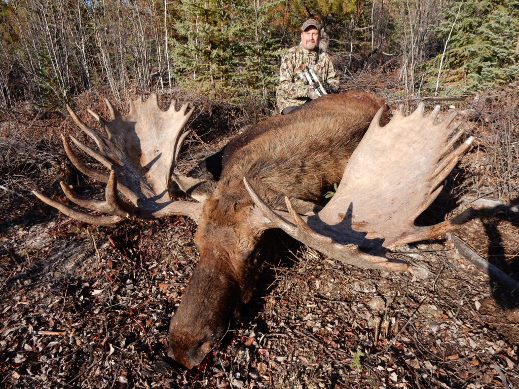 moose #2