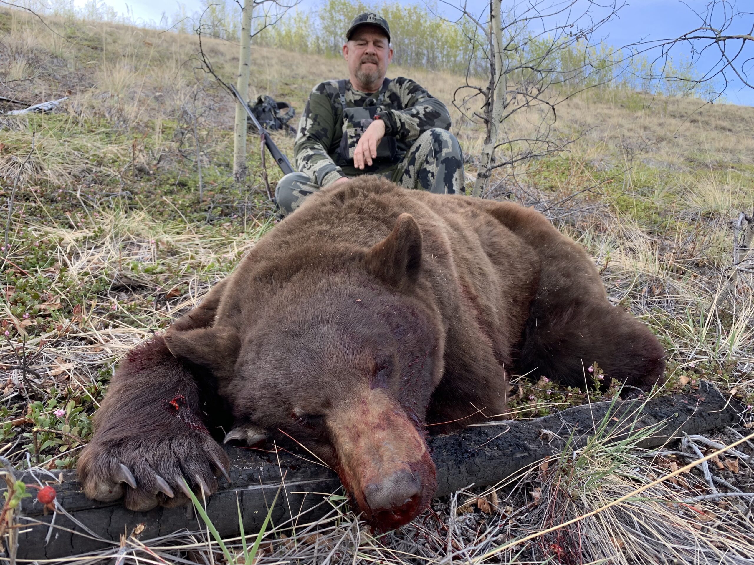 121.Cinnamon colored brown bear