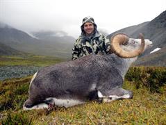 121.Great stone sheep