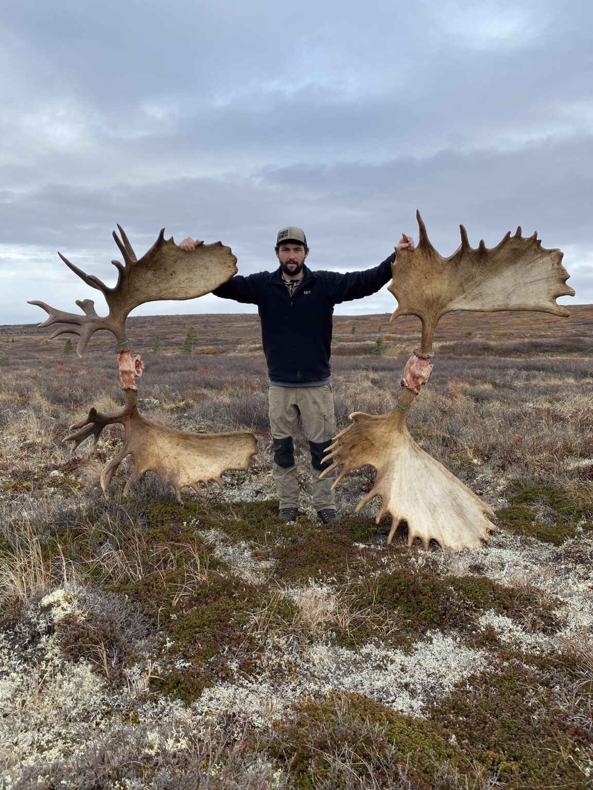 AK #155 - a great week in moose camp