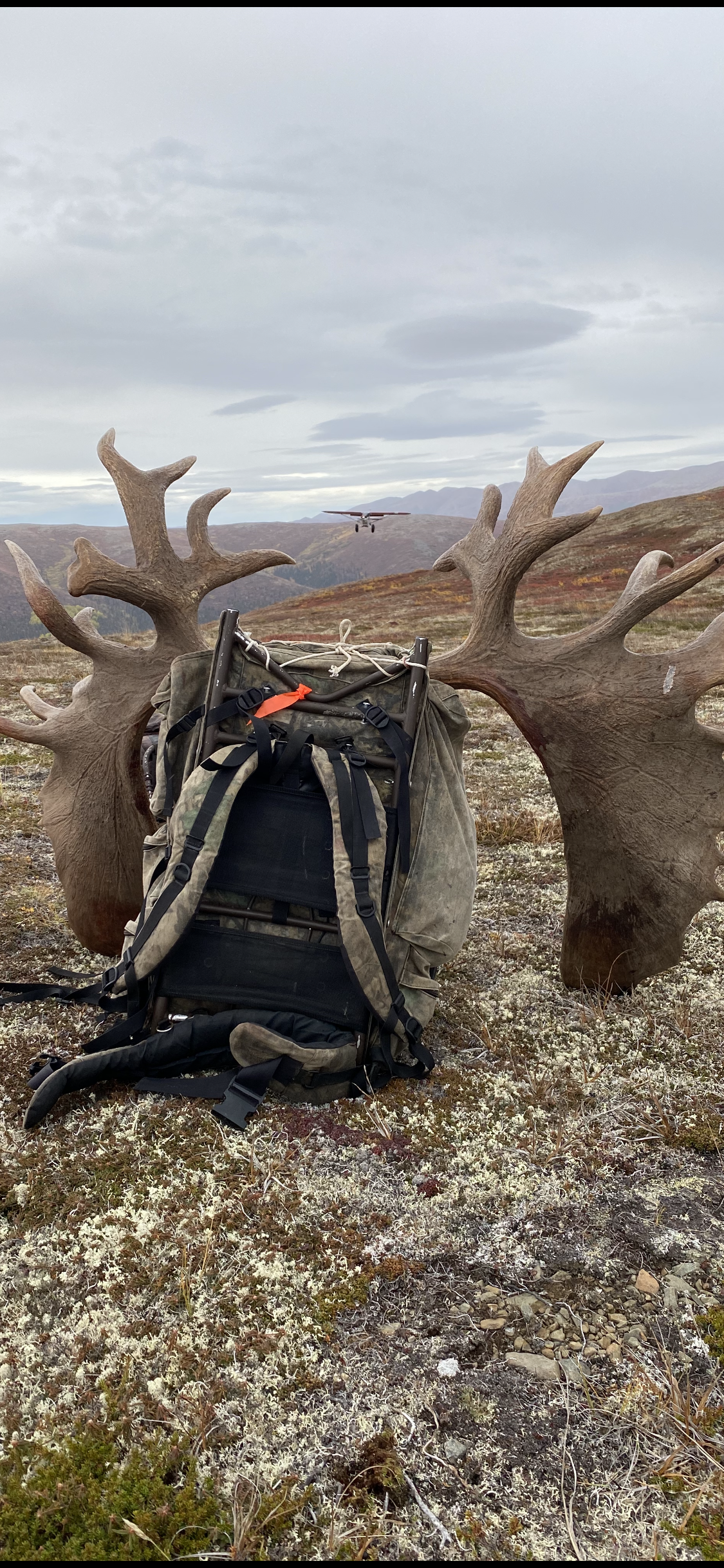 AK #155 - getting ready for fly out